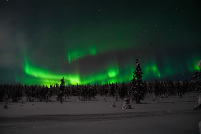 Northern Lights